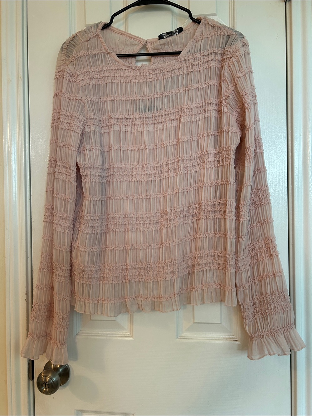 Sheer Smocked Long-Sleeve Blouse in Light Pink